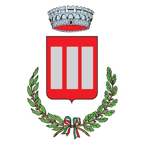 CONVOCAZIONE DEI COMIZI